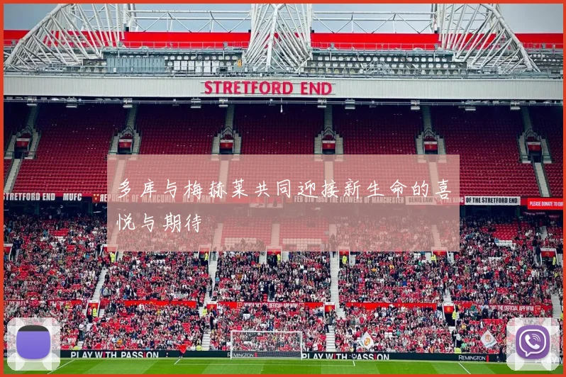 多库与梅赫莱共同迎接新生命的喜悦与期待